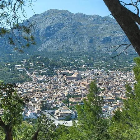 Owl Bandera - Rustic Pollença