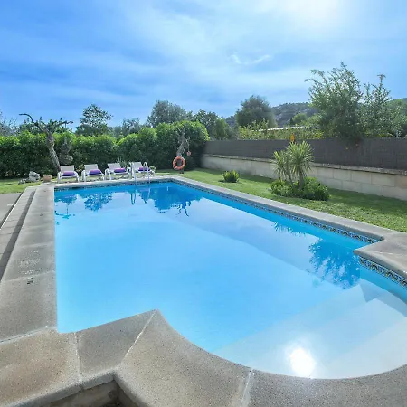 Owl Bandera - Rustic