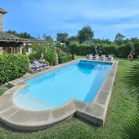 Owl Bandera - Rustic Pollença