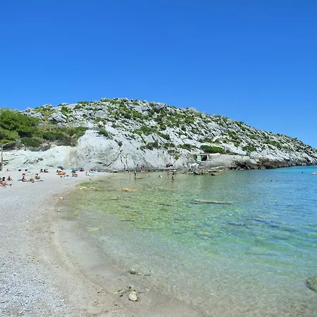 Owl Bandera - Rustic