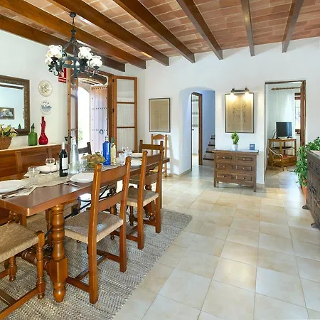 Owl Bandera - Rustic *