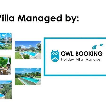 Owl Bandera - Rustic Pollenca