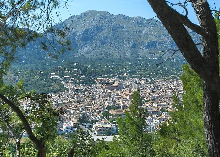 Owl Bandera - Rustic 포엔샤