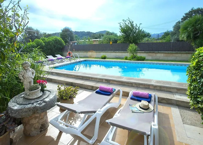 Owl Bandera - Rustic Pollença