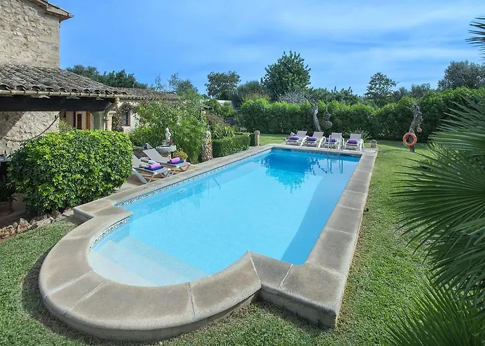 Owl Bandera - Rustic Pollença