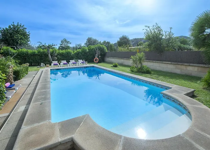 Owl Bandera - Rustic