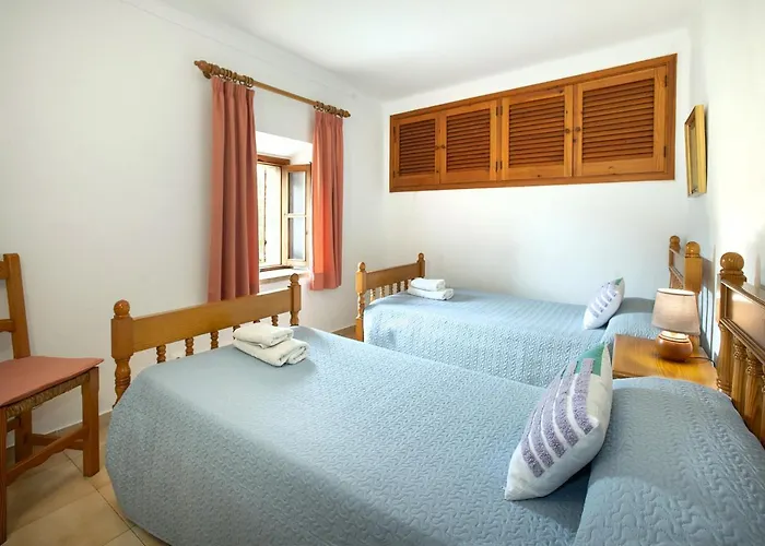 Owl Bandera - Rustic *